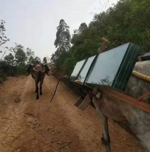 慈溪骡子运输