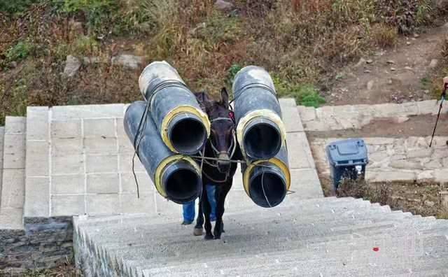 慈溪马帮运输